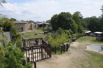 The trail for the elephants so that they can exercise and keep their strength.