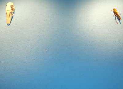 DSCF0111.JPG