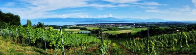 X100's panoramic mode over our place in Begnins.