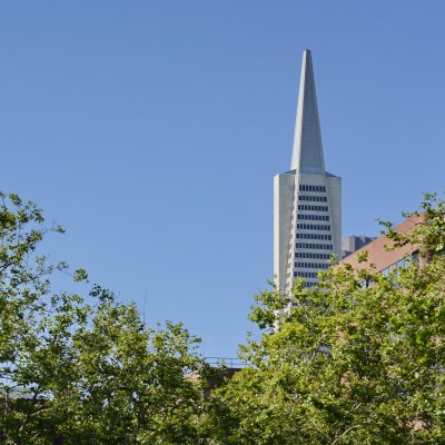 The top of the Transamerica Tower.