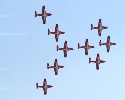 SnowBirds3.jpg