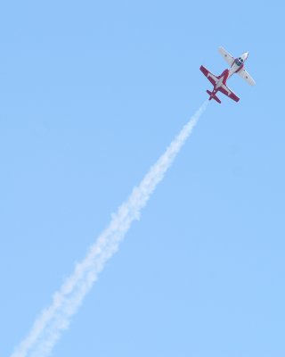SnowBirds4.jpg