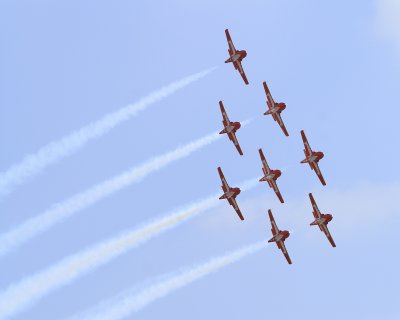 SnowBirds1.jpg