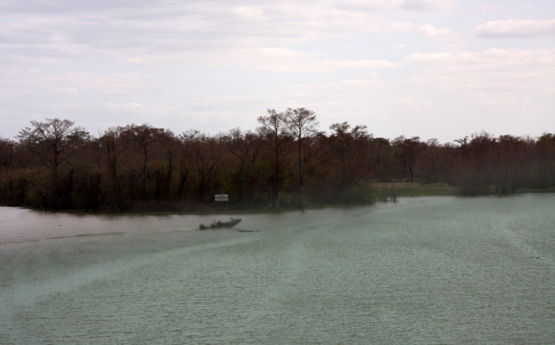 Atchafalaya Basin at Flood Stage