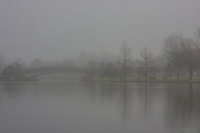 When all the World is Gray with Fog