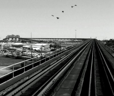 Huey P. Long Bridge Train Trestle - Architecture in Black and White
