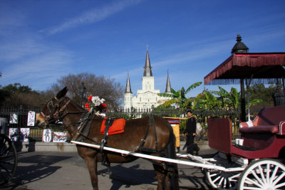 New Orleans' St. Louis Cathedral