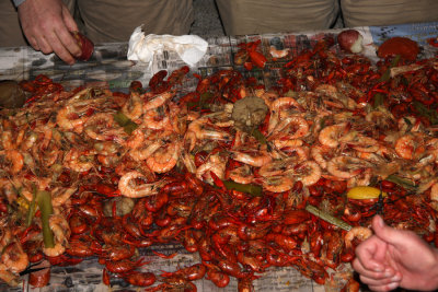 Louisiana in the Spring - Crawfish and Shrimp Boil