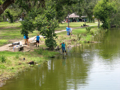 Volunteers Replant Parks Waterways