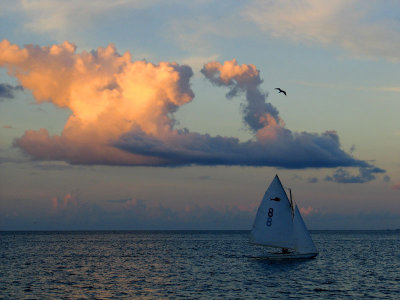 Sea, Sail and Sky