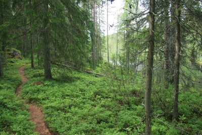 Herajrvi trail