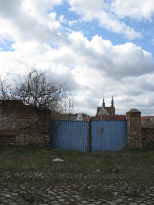 the wasteland