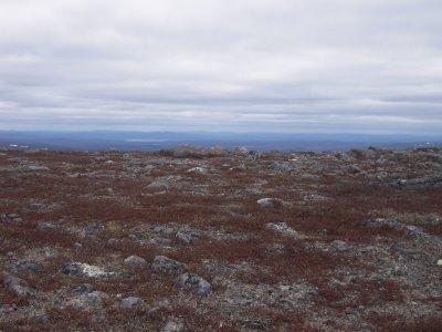 Inari