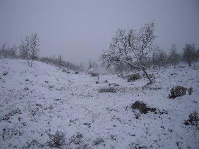 A view towards Peltoaivi hidden in the snowfall