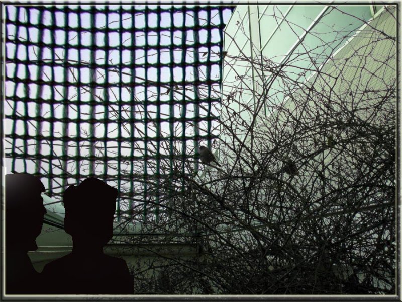 Inside Outside