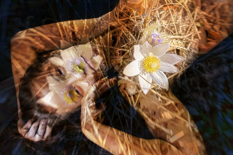 Bloom Where You Are Planted