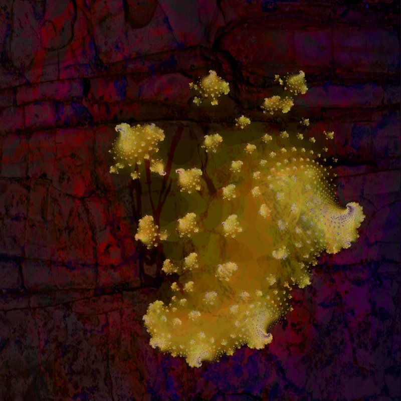 Spawning