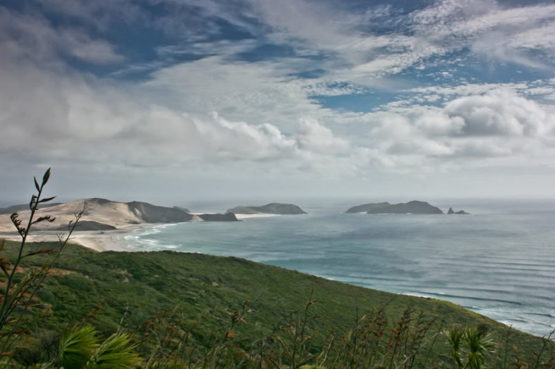 abaconda_cape_rienga attribution to FreeNZPhotos.com rs.jpg