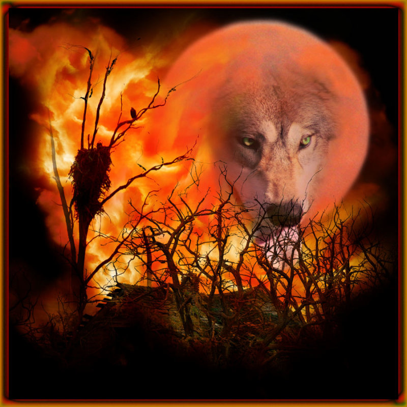 Dont go out in the Woods Tonight!