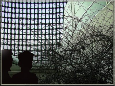 Inside Outside