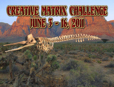 CreativeMatrix Challenge June 3 - 16 2011