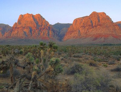 red-rocks-right-at-sunrise rs.jpg