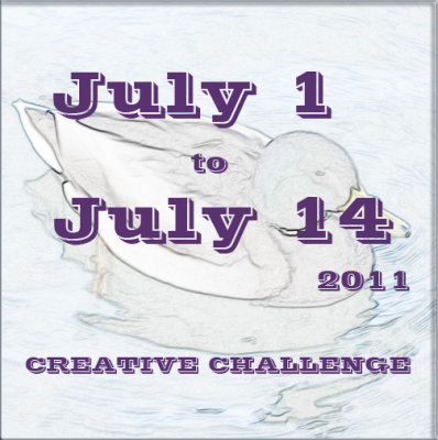 Creative Challenge for July 1 through 14, 2011