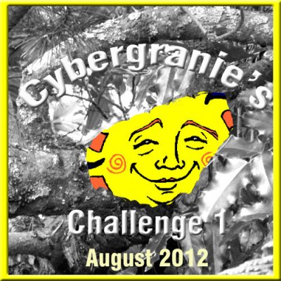 cybergrannie_challenge_august_20122