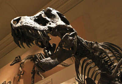 Washington - Smithsonian National Museum of Natural History