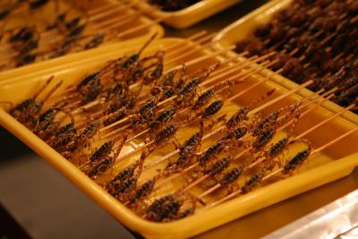 Beijing - Grilled Scorpios (Wangfujing Night Market)