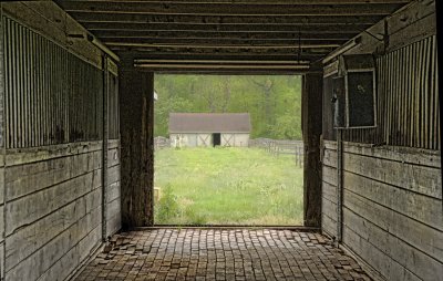 Deserted Horse Farm