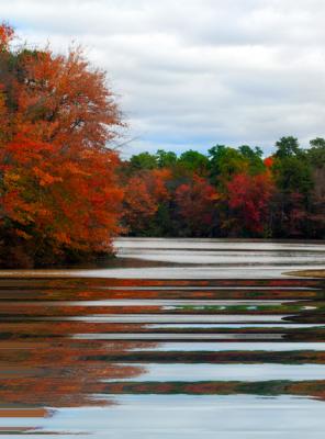 Fall Color 2