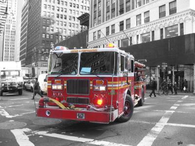 NY Bravest