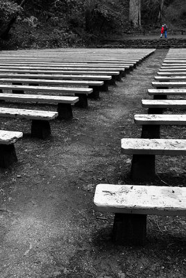 Theater benches Armstrong Redwoods, CA