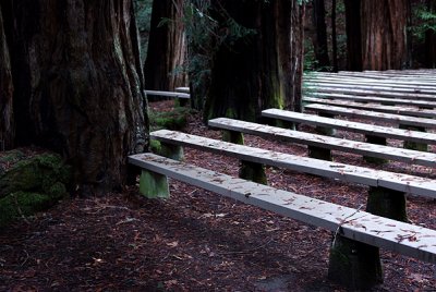 Armstrong Redwoods, CA Theater benches