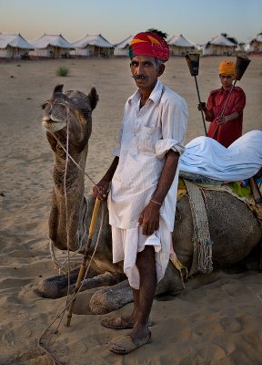 In the Desert