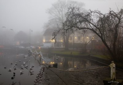 Fog on Carshalton Pond