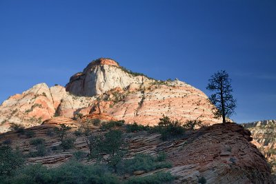 w_8268.jpg