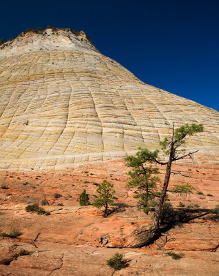 Zion NP