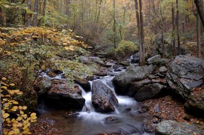 _DSC6792.jpg