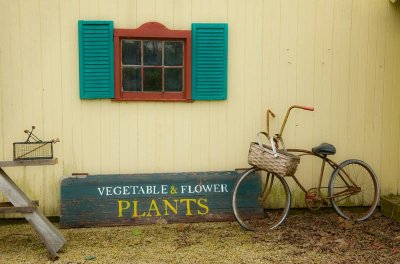 Bicycle-Basket_4842-1-2-b.jpg
