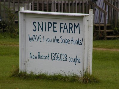 PA050625.JPG