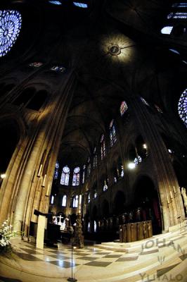 Notre Dame 10.jpg
