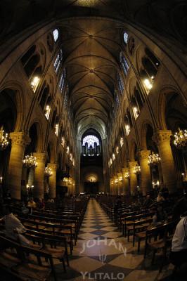 Notre Dame 11.jpg