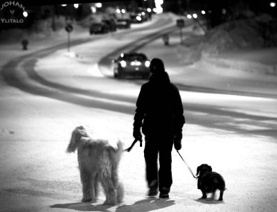 Kiruna snowfestival 2008.jpg