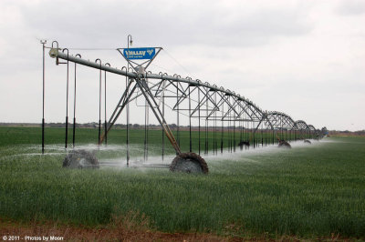 March 21st, 2011 - Watering field - 1855.jpg