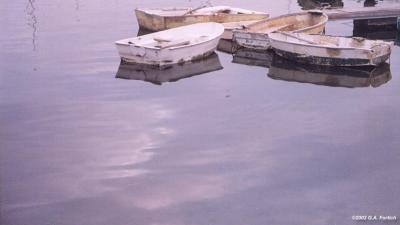 Rowboats1.JPG