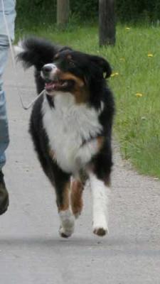 IMG_4572-Kopie.jpg