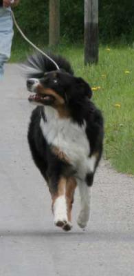 IMG_4573.jpg