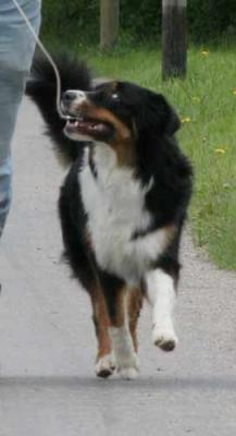 IMG_4574-Kopie.jpg